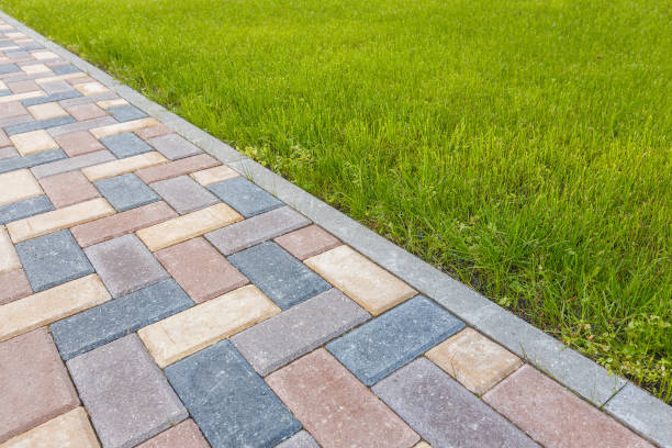 Best Driveway Paving Contractor  in Minor, AL